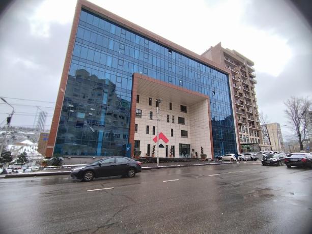 جامعة ألتي في جورجيا