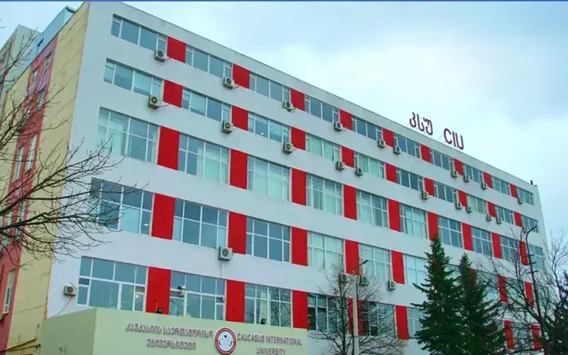 أفضل 5 جامعات في جورجيا للعام 2025/2026